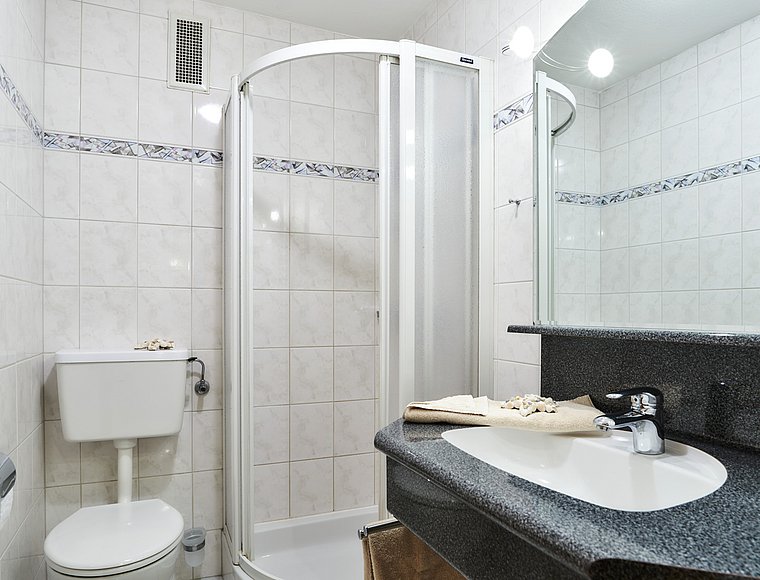Bright bathroom with shower, sink, mirror and toilet in classic tiled design