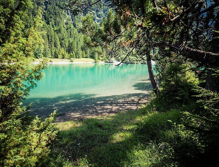 View through trees of Lake Heiterwang's clear water and opposite shore